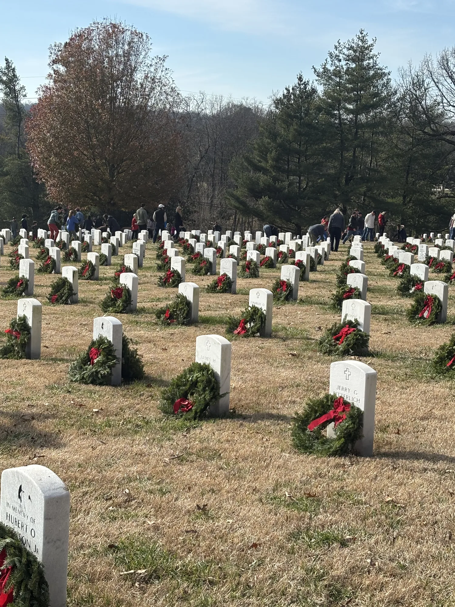 Rows of white military headstones on a hillside, each with an evergreen remembrance wreath and a red bow at its base, with people walking among them.